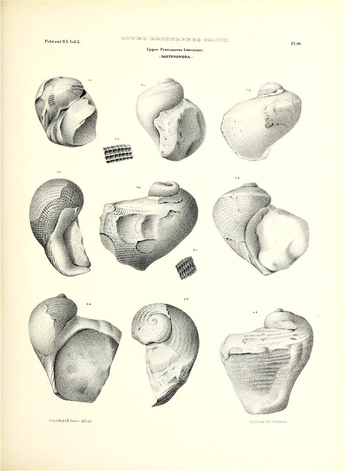 n306_w1150