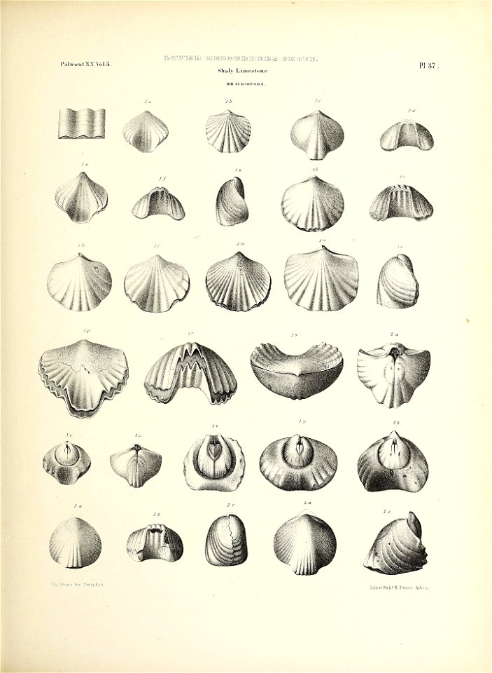 n186_w1150