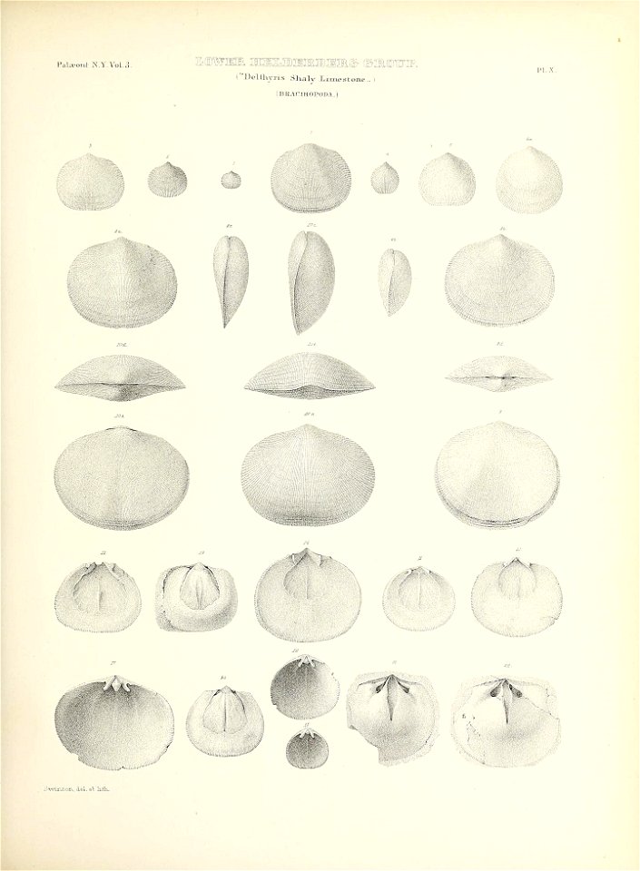 n66_w1150