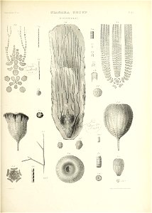 n620_w1150
