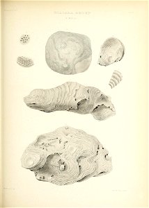 n560_w1150