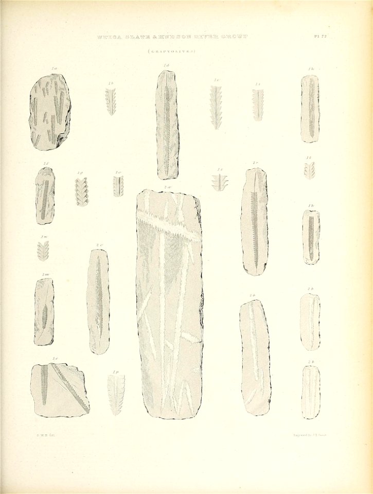 n712_w1150