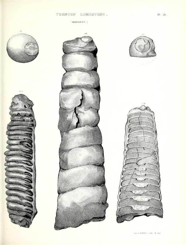 n652_w1150