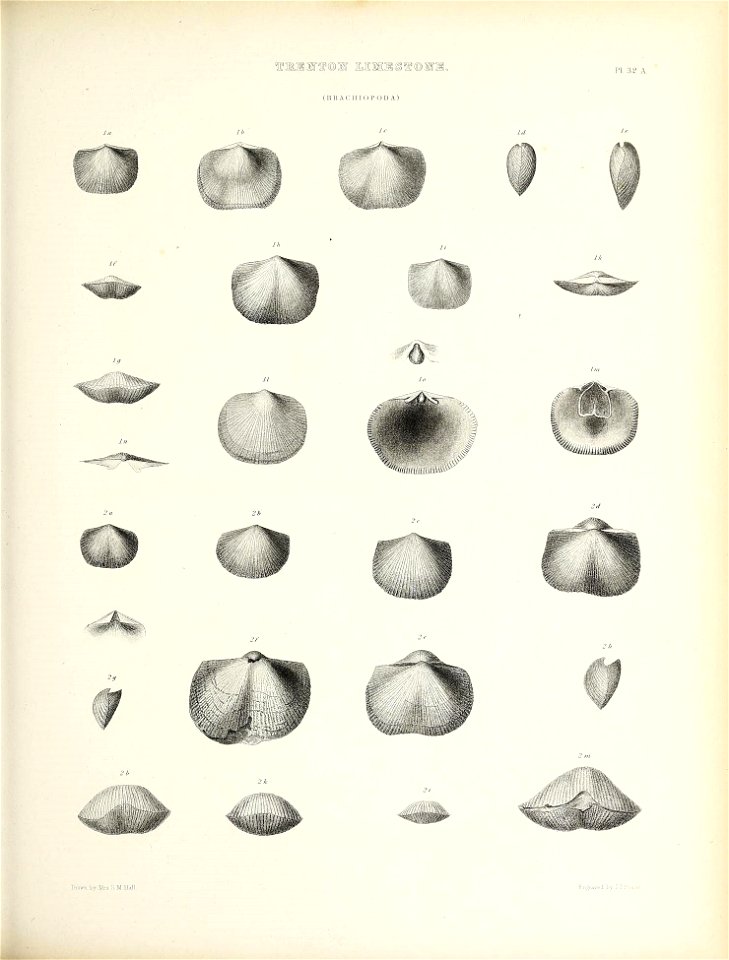 n526_w1150