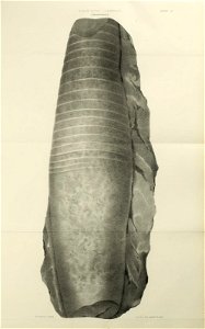 n466_w1150