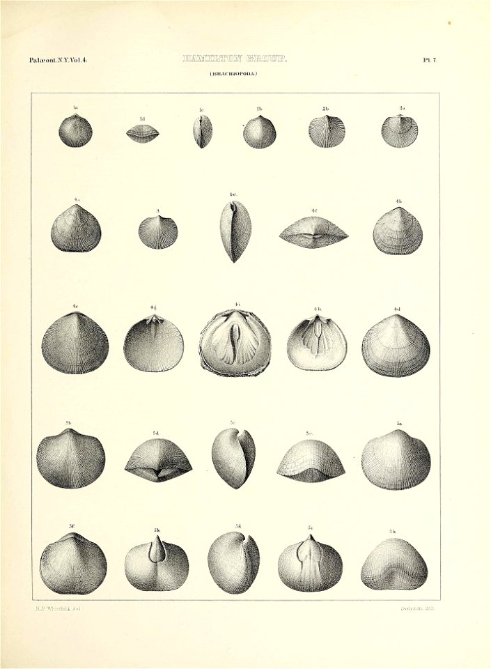 n476_w1150
