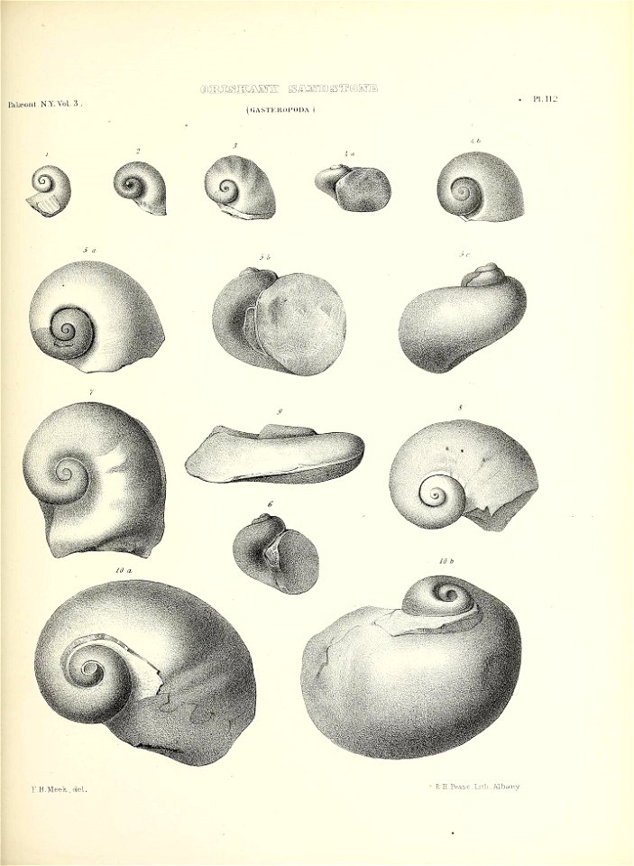 n542_w1150