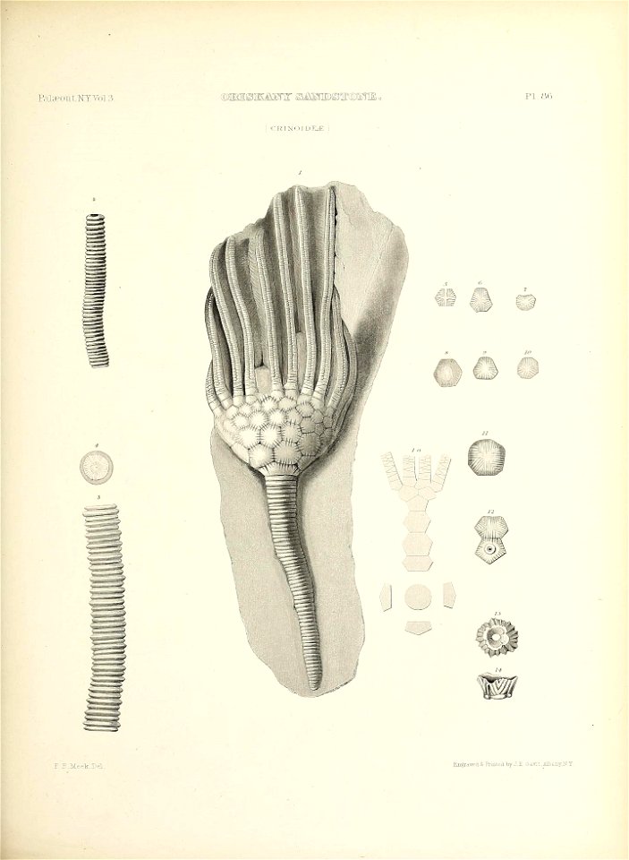n422_w1150