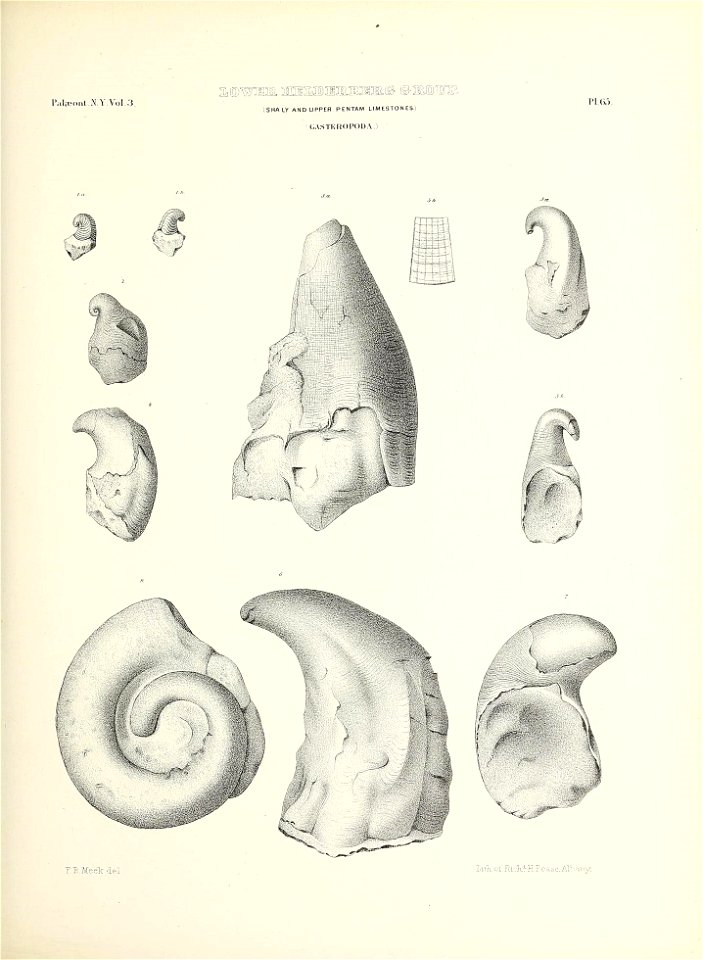 n302_w1150