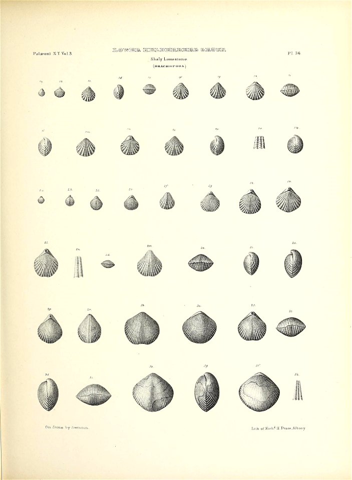 n182_w1150
