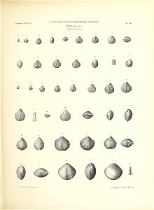 n182_w1150