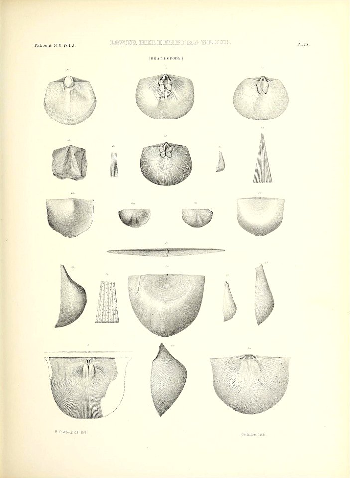 n122_w1150