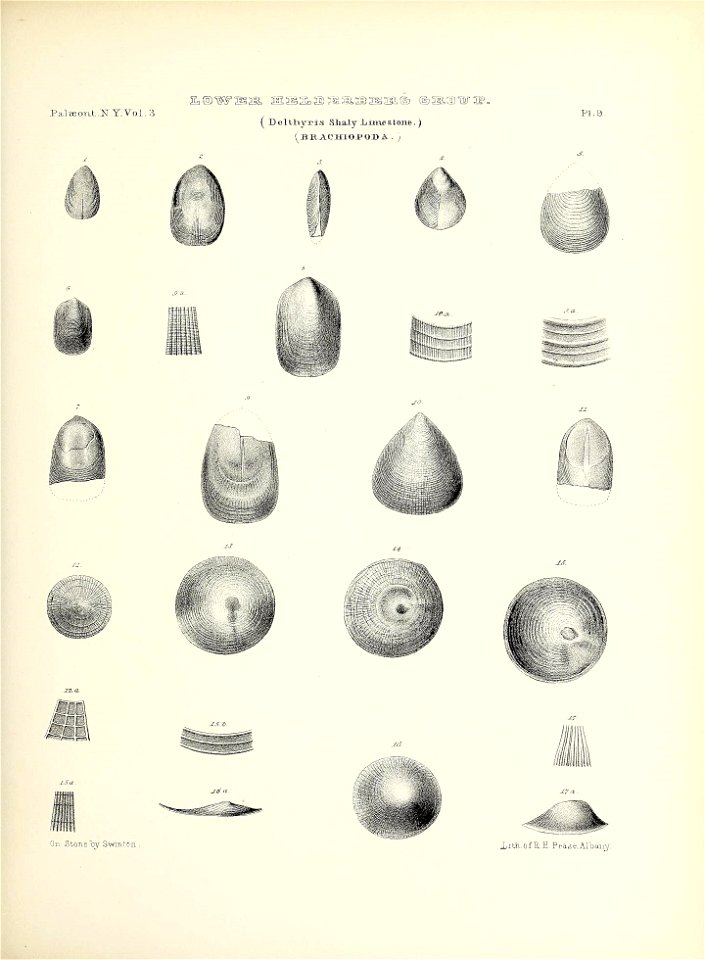 n62_w1150