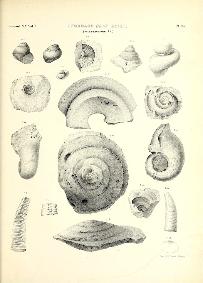 n796_w1150