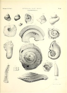 n796_w1150