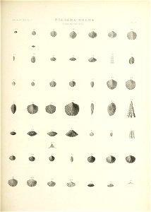 n676_w1150