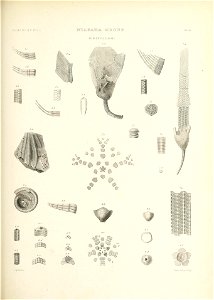 n616_w1150