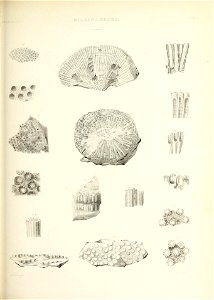 n556_w1150