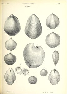 n496_w1150