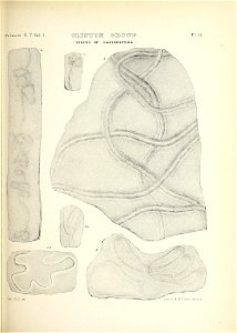 n436_w1150