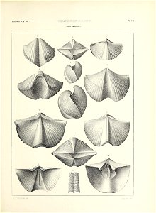 n592_w1150