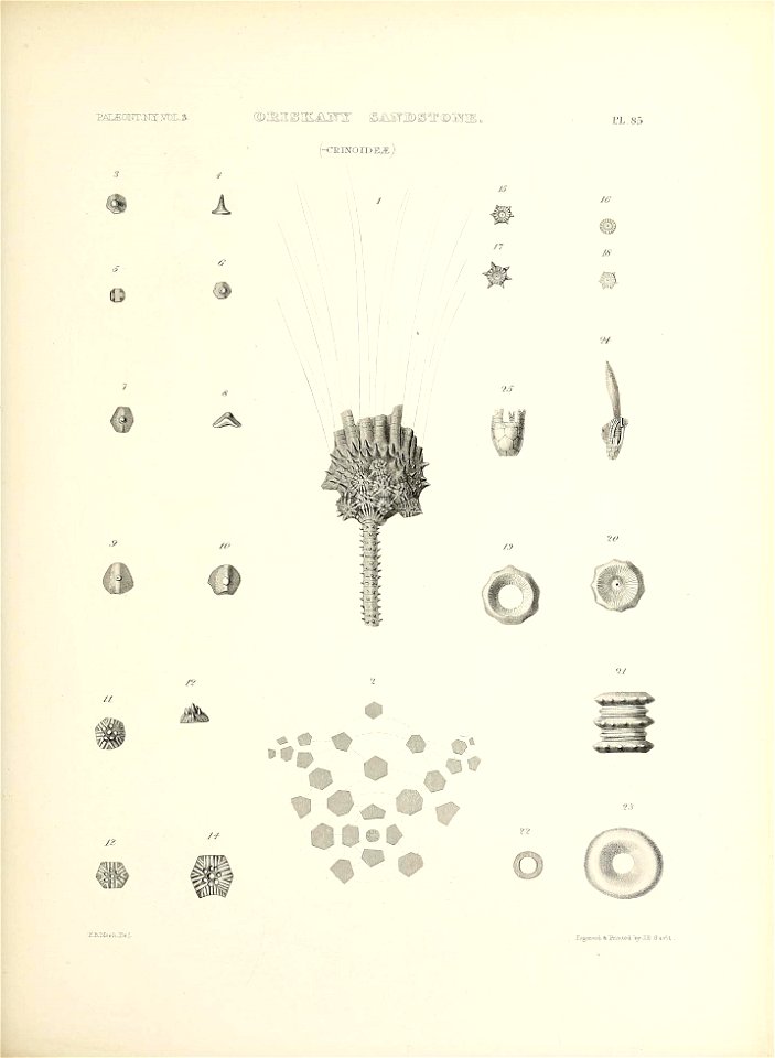 n418_w1150