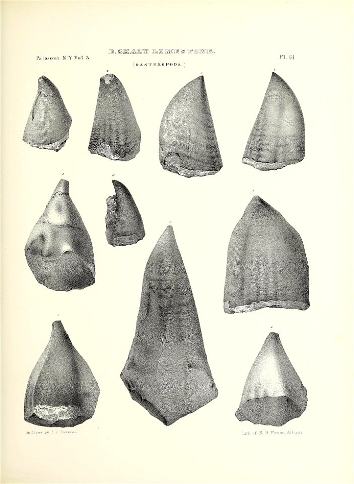 n298_w1150