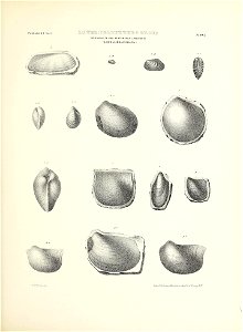 n238_w1150