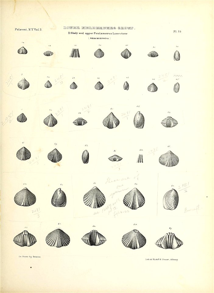 n178_w1150