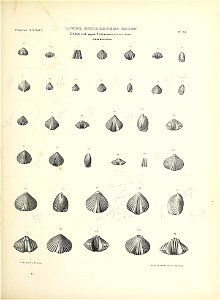 n178_w1150