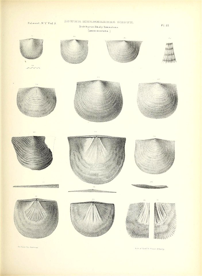 n118_w1150
