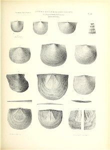 n118_w1150