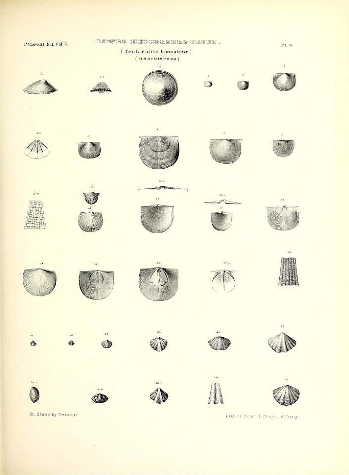 n58_w1150