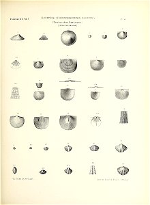 n58_w1150