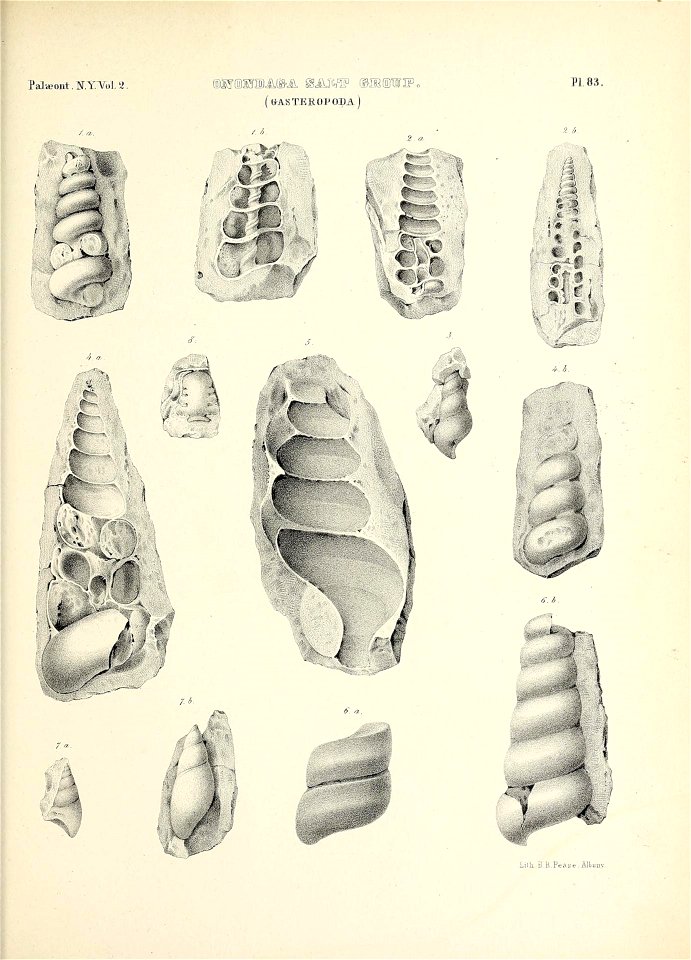 n792_w1150