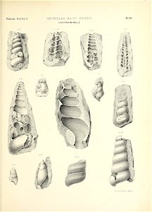 n792_w1150