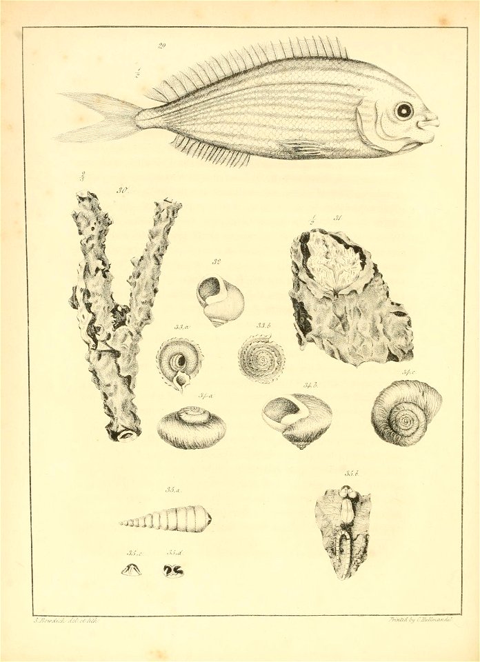 n179_w1150