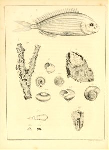 n179_w1150