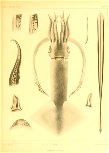 n158_w1150