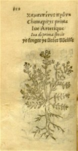 n532_w1150