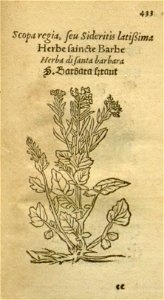 n455_w1150