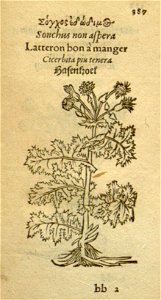 n409_w1150