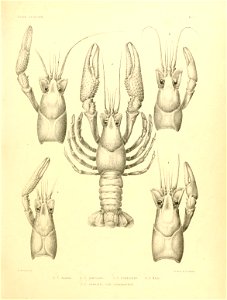 n202_w1150