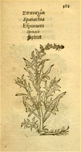 n405_w1150