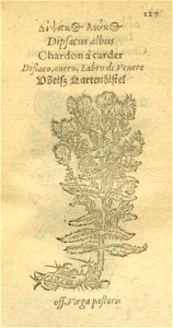 n149_w1150