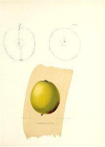 n214_w1150