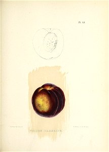 n184_w1150