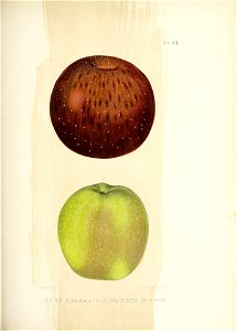 n154_w1150
