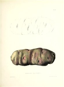 n426_w1150