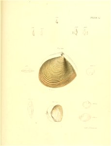 n432_w1150